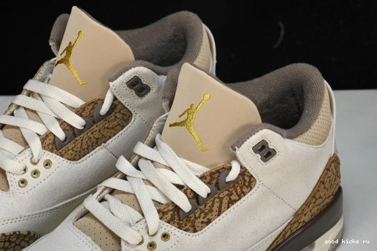 Retro Jordan  CT8532-102 CT8532-102 Palomino  3 0401